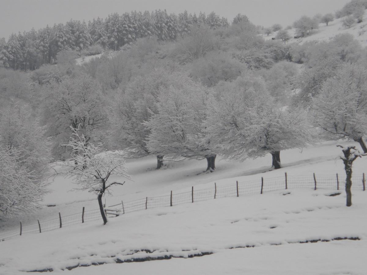 Penzion Casa Rural Alustiza Villabona Exteriér fotografie